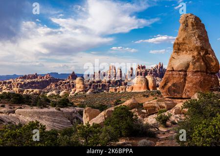 The Needles, le guglie di arenaria di Cedar Mesa nel distretto di Needles del Canyonlands National Park, Utah. Foto Stock