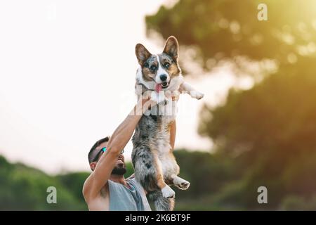 Giovane uomo che tiene in braccio felice blu merle cardigan corgi gallesi all'aperto al tramonto. Cane e proprietario Foto Stock