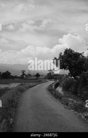 Foto monocromatiche, piccole strade circondate da vaste risaie Foto Stock