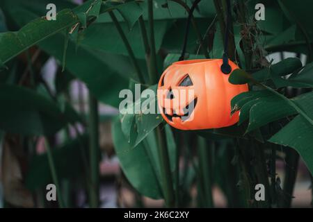 Addobbi cute di Halloween appesi ad un albero nella foresta per celebrare Halloween, concetto festivo di disegno di festa. Foto Stock