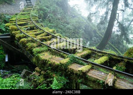 Bella Jianqing (Jiancing) percorso storico, la ferrovia forestale di Taiwan Taipingshan National Forest Recreation Area. Foto Stock