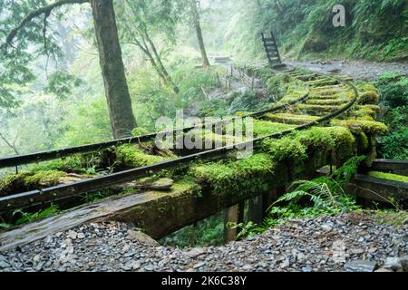 Bella Jianqing (Jiancing) percorso storico, la ferrovia forestale di Taiwan Taipingshan National Forest Recreation Area. Foto Stock