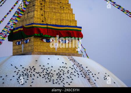 Un gregge di piccioni arroccato sul Swayambhunath Stupa a Kathmandu, Nepal Foto Stock