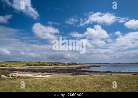 Il litorale in via di recidivazione è stato causato da condizioni di grave siccità al lago Colliford Reservoir a Bodmin Moor in Cornovaglia nel Regno Unito. Foto Stock