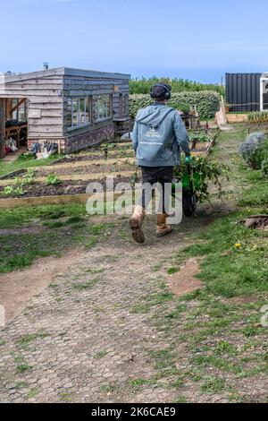 Un volontario Newquay Orchard che lavora nella comunità crescente spazio in Newquay Orchard. Newquay Orchard è uno spazio creato dalla comunità per il co Foto Stock