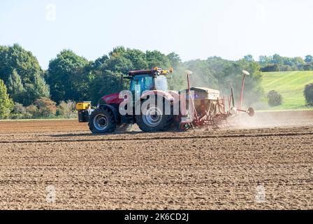 FIEL per trattrici rosse CASE 12 150, Suffolk Sandlings, Suffolk, Inghilterra, Regno Unito Foto Stock