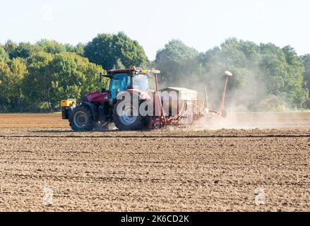 FIEL per trattrici rosse CASE 12 150, Suffolk Sandlings, Suffolk, Inghilterra, Regno Unito Foto Stock