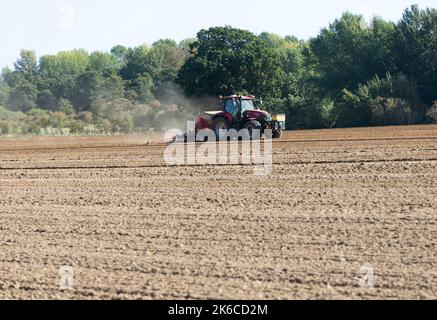 FIEL per trattrici rosse CASE 12 150, Suffolk Sandlings, Suffolk, Inghilterra, Regno Unito Foto Stock