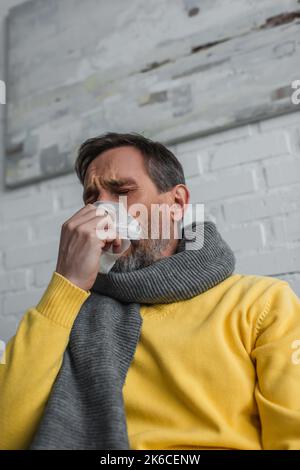 vista ad angolo basso di un uomo malato in tovagliolo di carta con sciarpa calda e starnuti con occhi chiusi, immagine di scorta Foto Stock