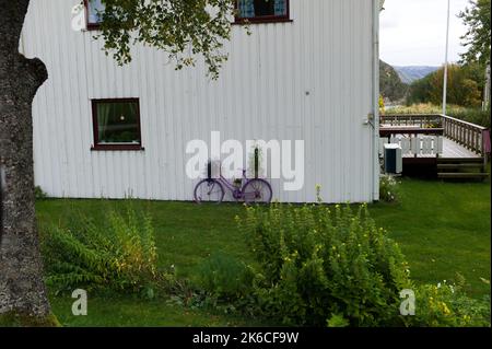 Scene di Jøa, un'isola nel comune di Namsos, Norvegia Foto Stock