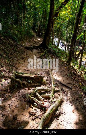 Cascata Nampok Lampee a Phang nga, Thailandia Foto Stock