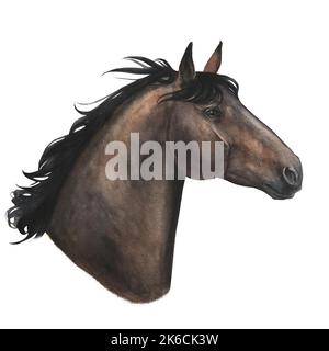 acquerello immagine realistica ritratto di cavallo baia isolato su sfondo bianco Foto Stock