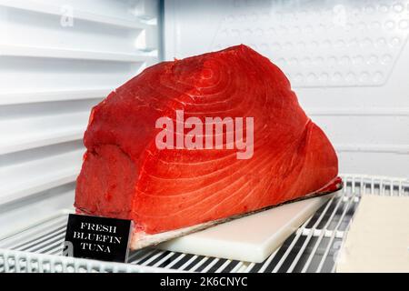 primo piano di un grosso pezzo di tonno rosso fresco in frigorifero Foto Stock