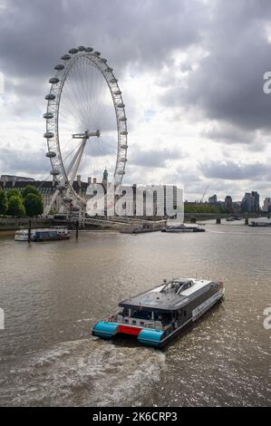 Jupiter Clipper by Thames Clippers Uber Boat passa dal London Eye in direzione di Westminster Bridge London UK. Foto Stock