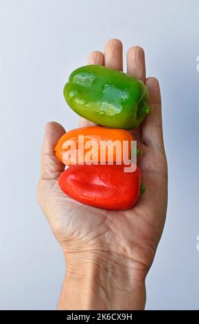 Mini peperoni a campana a portata di mano su uno sfondo luminoso Foto Stock
