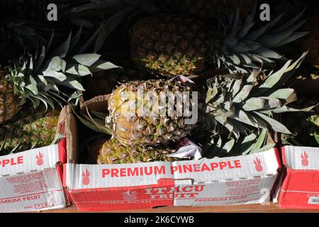 Brooklyn, New York, Stati Uniti. 8th Ott 2022. Ananas premium. (Credit Image: © John Marshall Mantel/ZUMA Press Wire) Foto Stock
