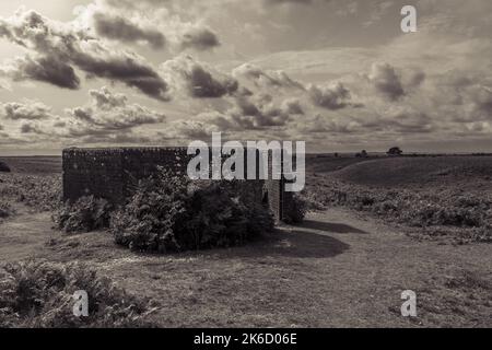 Resti di rifugio aereo raid accanto al sito della seconda guerra mondiale alta frequenza direzione Finding Station su Ibsley Common, New Forest, Hampshire, Regno Unito Foto Stock