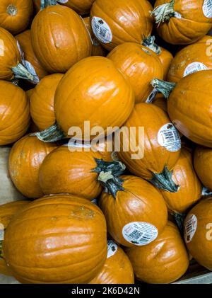 Zucche presso un venditore di frutta e verdura a New York giovedì 6 ottobre 2022. (© Richard B. Levine) Foto Stock