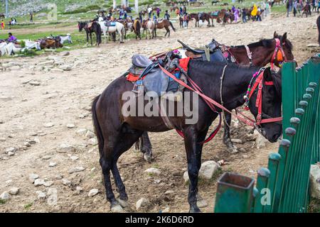 Equitazione in kashmir, funivia, Gulmarg Gondola, Jammu e Kashmir, territorio sindacale dell'India è una funivia ad alta quota Foto Stock