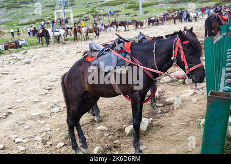 Equitazione in kashmir, funivia, Gulmarg Gondola, Jammu e Kashmir, territorio sindacale dell'India è una funivia ad alta quota Foto Stock