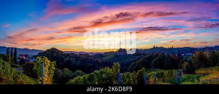 Una vista panoramica di una foresta con alberi fitti verdi e prati sotto le nuvole pinky Foto Stock