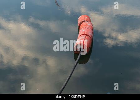 Boa nel canale Gowanus nel quartiere Gowanus di Brooklyn, NY, USA. Foto Stock