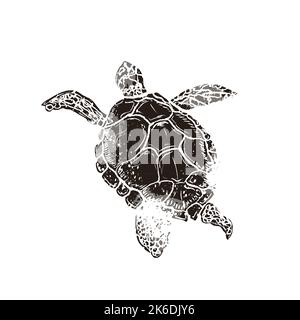 Tartaruga da nuoto in stile retrò linocut isolata sul bianco Illustrazione Vettoriale