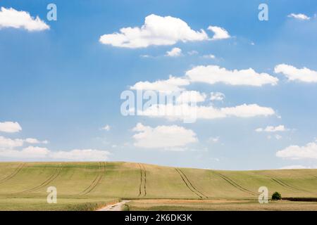 Paesaggio chiamato Moravia Toscana, Moravia meridionale, Repubblica Ceca Foto Stock
