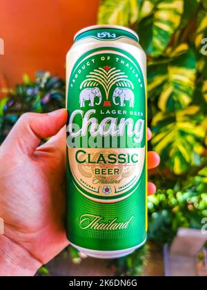 Thai Chang birra in mano nel paradiso tropicale ma in Playa del Carmen Quintana Roo Messico. Foto Stock