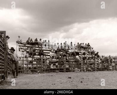 Gli spettatori del rodeo seduti negli stand di legno nella rurale Alberta Canada Monochrome Fotografia circa 1983. Scrivere su Stone Rodeo Foto Stock