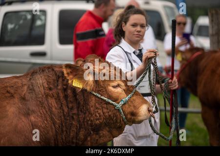 Il Bonniconlon Show and Gymkhana si tiene ogni anno il lunedì delle festività di agosto. Foto Stock