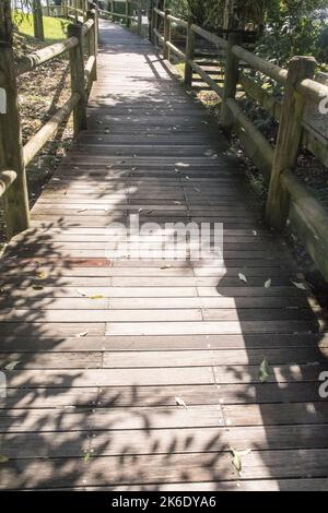 una passerella in legno naturale e frondosa con telaio di supporto in legno con linee di guida Foto Stock