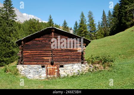 Dark Brown Haystack con Stone Foundation su Green Meadow. Abete Foresta, Montagne e cielo blu in background. Leukerbad, Vallese, Svizzera Foto Stock