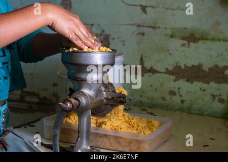 giovane donna latina, mettendo il mais cotto con le mani nella macchina per la macinazione del mais. preparazione di arepas gialle in modo tradizionale in un colomb Foto Stock