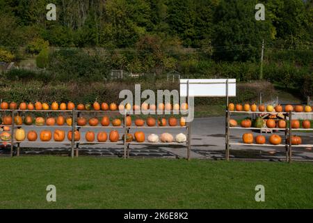 Zucche in vendita presso una stalla a lato della strada, vicino Draycott, Somerset, Inghilterra, Regno Unito Foto Stock