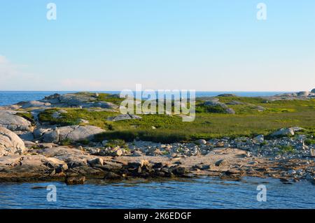 Percorso escursionistico Pennant Point presso il Crystal Crescent Beach Provincial Park vicino a Halifax, Nuova Scozia, Canada Foto Stock