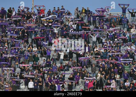 Firenze, Italia, 13/10/2022, stadio Artemio Franchi, Firenze, Italia, 13 ottobre 2022, tifosi di ACF Fiorentina durante la partita di calcio ACF Fiorentina vs Heart of Midlothian FC - UEFA Conference League Foto Stock