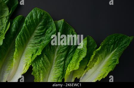 Lattuga romana o cos, verdure verdi frondosi che organizzano il modello piatto giaceva su fondo nero della struttura. Fotografia di cibo. Vista dall'alto, immagine orizzontale. Foto Stock