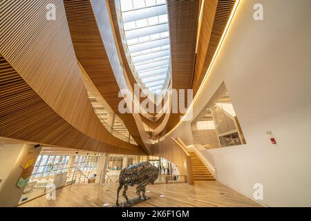 7 2022 ottobre - Calgary, Alberta - interno della nuova Calgary Central Library Foto Stock