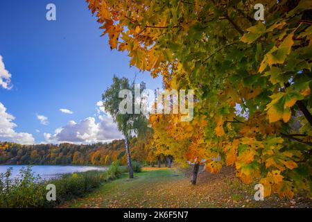 Paesaggio autunnale colorato panorama a Birstonas, Lituania Foto Stock
