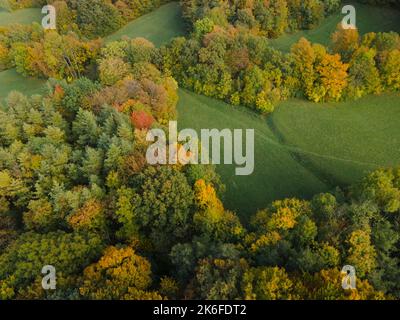 drone aereo fligt sulla foresta in autunno Foto Stock