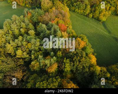 drone aereo fligt sulla foresta in autunno Foto Stock