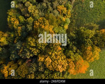 drone aereo fligt sulla foresta in autunno Foto Stock