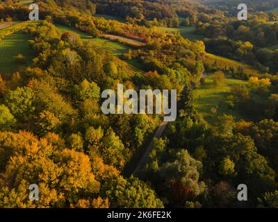 drone aereo fligt sulla foresta in autunno Foto Stock