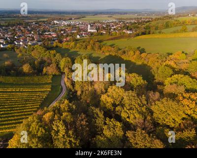 drone aereo fligt sulla foresta in autunno Foto Stock