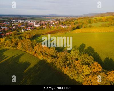 drone aereo fligt sulla foresta in autunno Foto Stock