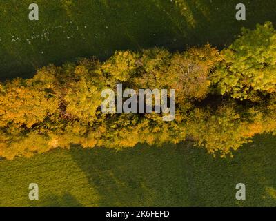 drone aereo fligt sulla foresta in autunno Foto Stock