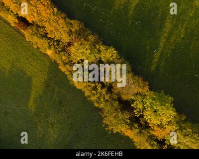 drone aereo fligt sulla foresta in autunno Foto Stock