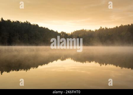 Un colpo di tonalità seppia di una foresta che si riflette sulla superficie del lago Foto Stock