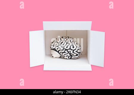 Primo piano di un cervello umano in una scatola di spedizione isolata su sfondo rosa. Concetto di educazione creativa. Foto Stock
